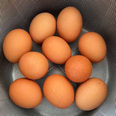 40+ Things to Make with Eggs - Good Cheap Eats