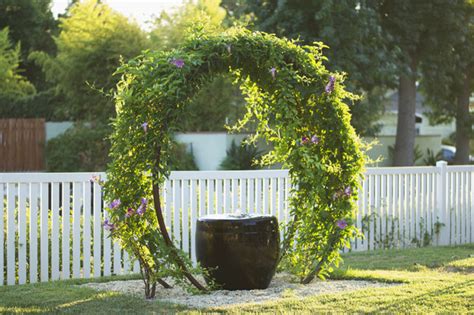 Unique Trellis Ideas