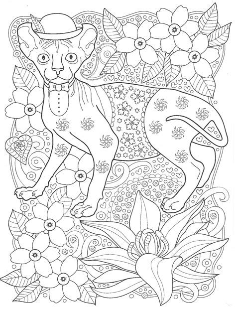 Кошка Сфинкс в шляпе - Животные - Раскраски антистресс
