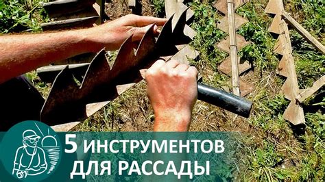 Выращивание рассады 🌿 Инструменты для огорода по технологии Гордеевых ...