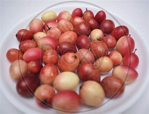 image  indian fruit karaunda   carissa caranda fruits arranged