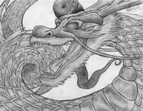Drgn by Pipenagos on DeviantArt