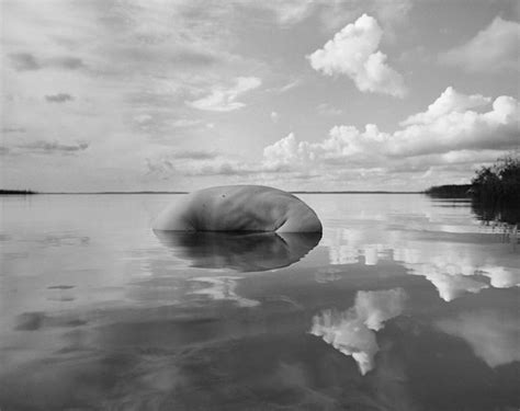 combining nude human body  natural world fubiz media