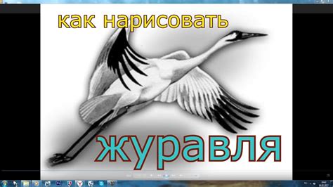как нарисовать журавля(набросок) - YouTube