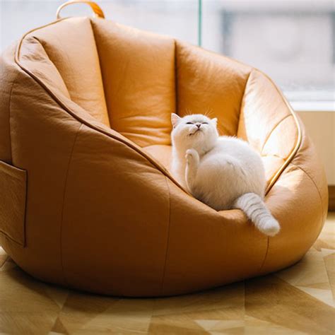 create  pet friendly home environment covetlane