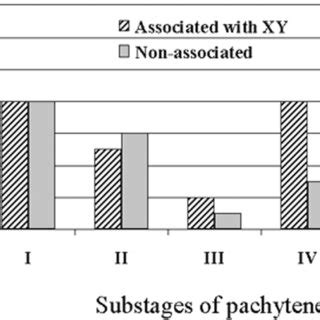 asynaptic chromatin  spermatocytes  translocation