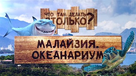 Океанариум / аквариум Куала-Лумпур Малайзия ЧТДС №19 - YouTube
