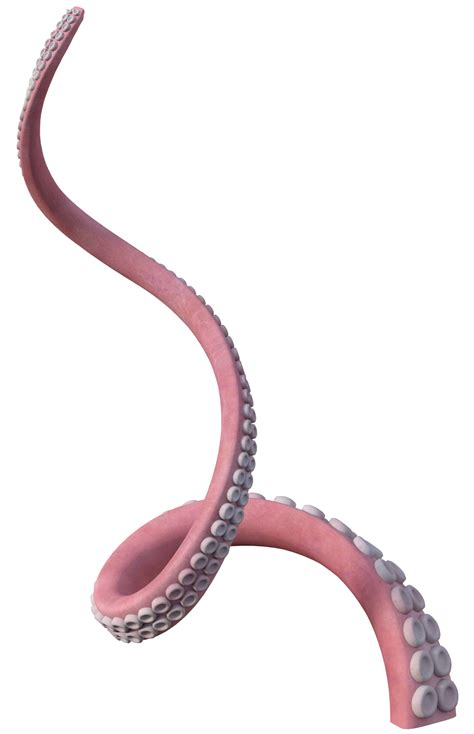 Free Tentacle 10, Png Overlay. by lewis4721 on DeviantArt