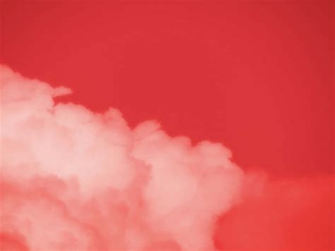 Download Aesthetic beauty in soft red. Wallpaper | Wallpapers.com