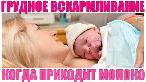ГРУДНОЕ ВСКАРМЛИВАНИЕ ПОСЛЕ РОДОВ | На какой день приходит молоко после ...