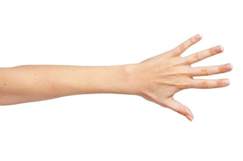 Die ganze Welt in einer Hand - Orthinform