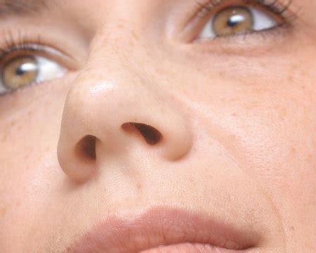 Nostril Bilder – Durchsuchen 15,920 Archivfotos, Vektorgrafiken und ...