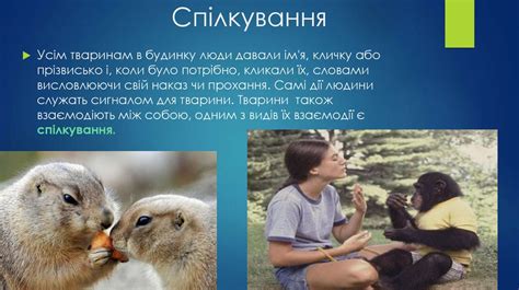 Спілкування тварин - презентация онлайн