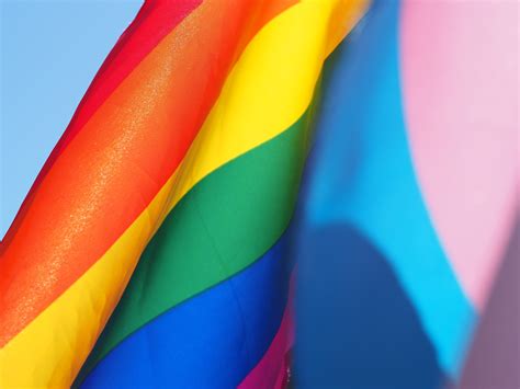 Understanding Human Sexuality — The EFT Clinic | Counseling for Couples