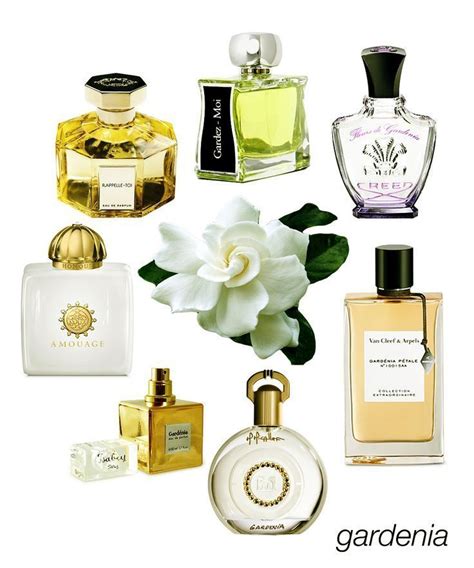 #perfumedegardenia #ladiestylescom #womenbeauty #rappelletoi # ...