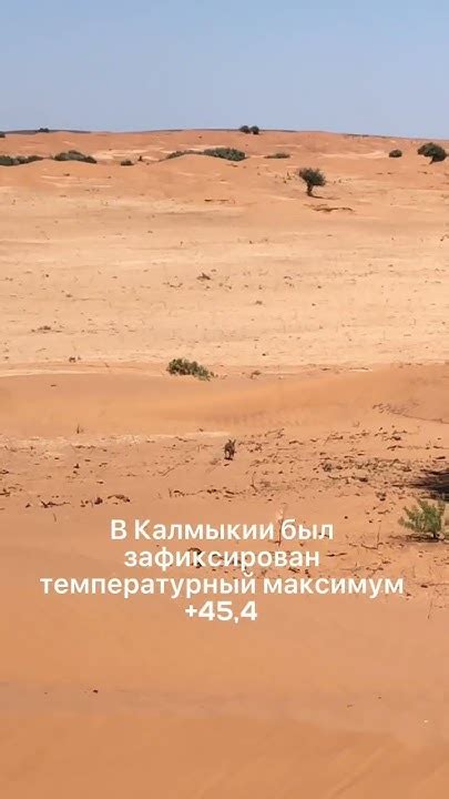 Какая погода в Калмыкии спросите вы. Я отвечу: очень изменчивая! - YouTube
