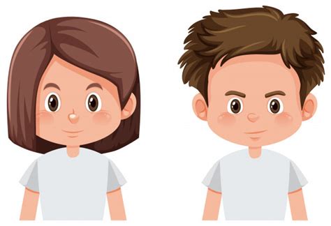 face diagram diagram quizlet