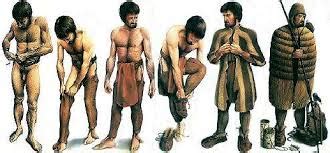 Mesolithic clothes, social life,food