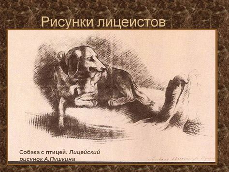 Рисунки лицеистов