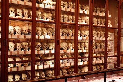 The Mütter Museum's 44 Most Curious Medical Oddities