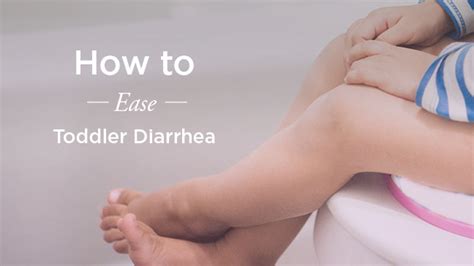 What to Feed Toddler with Diarrhea: The Plan