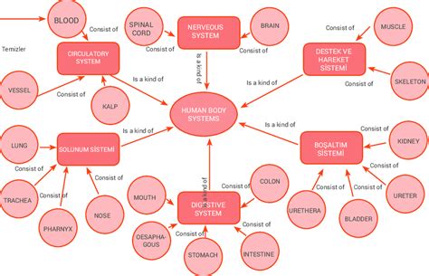 Concept Map For Science - Alvera Marcille