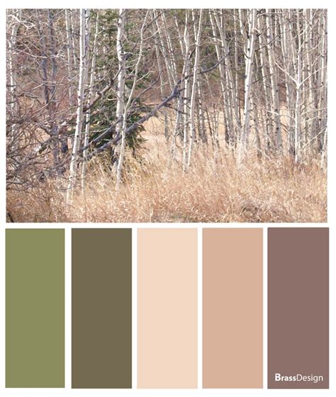 natuur | Цветовые сочетания, Палитра, Палитра цветов