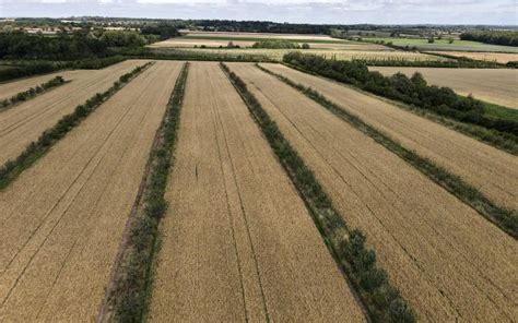 Navigating Agroforestry futures in Europe - Agricology