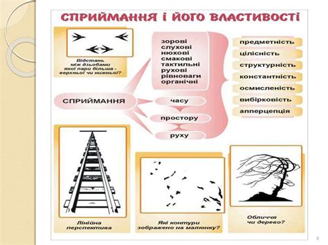 Поняття про сприймання - презентация онлайн