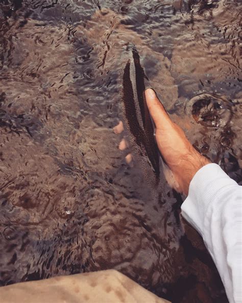 Broken Bow 'bow : r/flyfishing