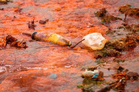 fashion pollution | Under the sea, Ocean, Pollution