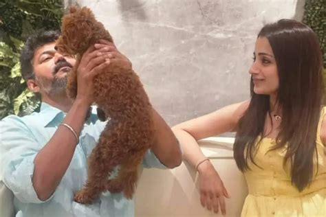 fans cheer  trisha speaks  vijay ajith  siima  awards