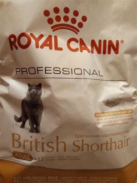 13 кг!!royal canin british shorthair - корм для британців 13кг — цена ...