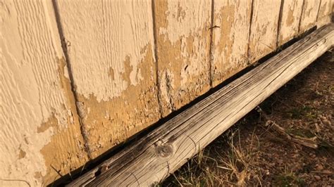 ABP Home Insights: Pressboard/Hardboard Siding and Maintaining Paint ...