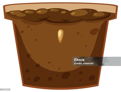 seed germination process concept stock illustration  image