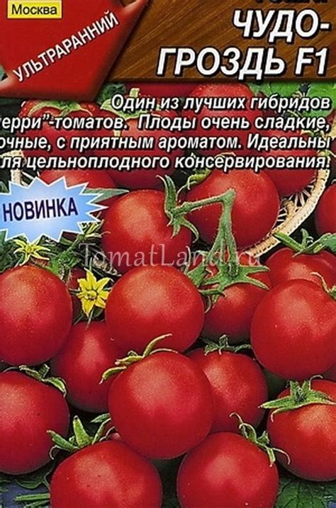 Томат Чудо гроздь: ОТЗЫВЫ (5), фото, урожайность | tomatland.ru