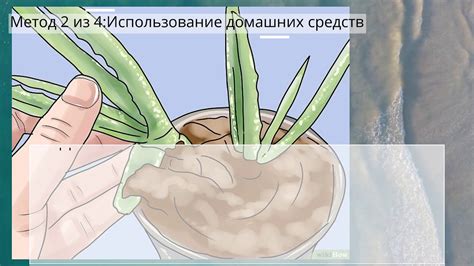 Как убрать шрамы на ногах - YouTube