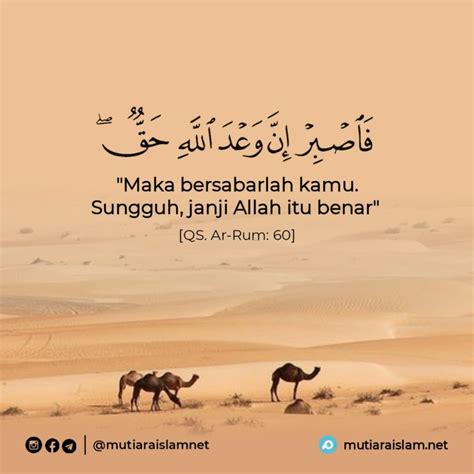 kata kata motivasi islam  al quran