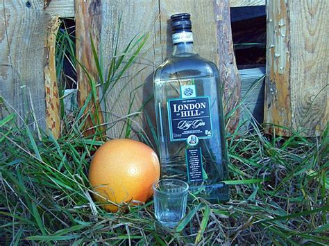 Популярные марки джина – названия и описания лучших брендов