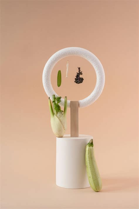 70+ Best Fennel Photos · 100% Free Download · Pexels Stock Photos