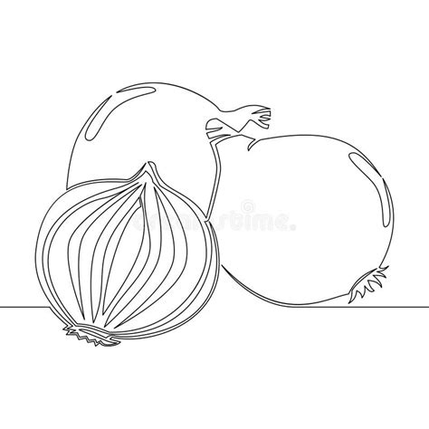 onion  continuous  art drawing style onion  bulb  leaves