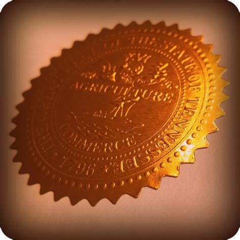 Remote filing will soon transform how you get an apostille new york 8