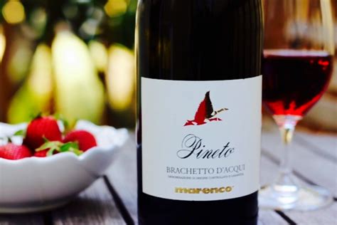 Marenco ‘Pineto’ Brachetto d’Acqui | Wine with Dinner