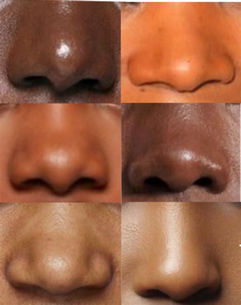 noses art 7