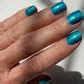 Never Tide Down – Holo Taco