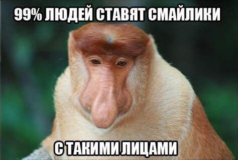 Носатая обезьяна | Веселые обезьяны, Фотографии обезьян, Носач