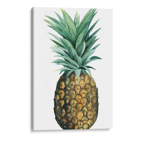 Piña De Acuarela Ii - Grace Popp Cuadro Decorativo, Canvas Lab