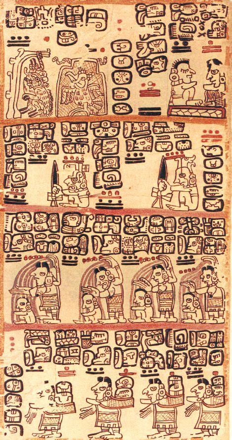 maya codex artofit