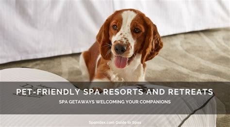 Best Pet Friendly Hotels, Spas, Resorts and Retreats