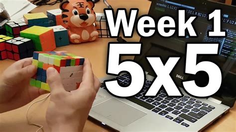 What I Learned on 5x5 | Week 1 - YouTube